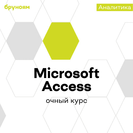 Microsoft Access для экономистов и аналитиков: управление данными и отчетность