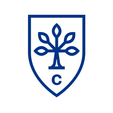 City Business School  logo