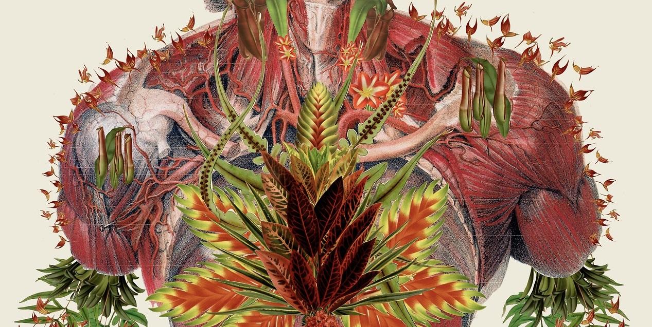 Chemistry of the Body: How Molecules Control Us