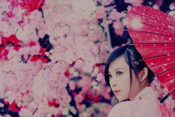 Geishas and Courtesans of Japan: The World of Arts and Flowers